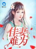 佳妻難為