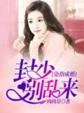 染指成婚:封少別亂來百度網盤
