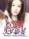 偽萌寶寶：總裁的失憶嬌妻