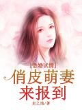 借婚試情：高冷首席寵上癮