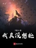 我真沒想搶