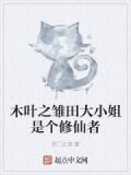 木葉之雛田大小姐是個修仙者