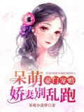 豪門寵婚：呆萌嬌妻別亂跑