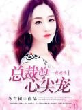 一夜成歡：總裁的心尖寵