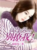 高冷boss別撩我！