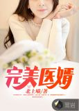 完美醫婿