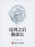 亮劍之後勤部長