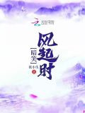 暗笑風起時