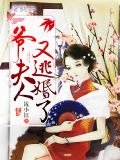 爺，夫人又逃婚了