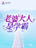 老婆大人是學霸