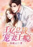 千億總裁寵妻上癮