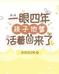 一眼四年,孩子他爹活着回來了筆趣閣