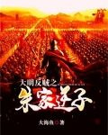 大明反賊之朱家逆子