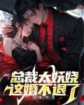 總裁太妖嬈，這婚不退了！
