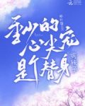 季總請注意，替身夫人她有白月光