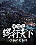 穿越之鱷行天下