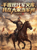 手握現代軍火庫我在大宋當軍閥
