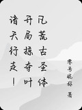 諸天掠奪美女