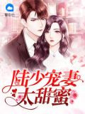 陸少寵妻太甜蜜